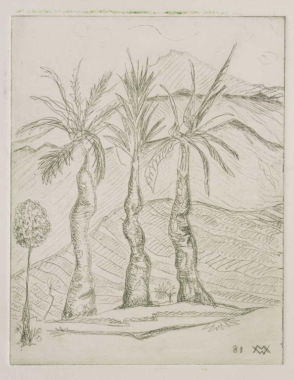 Three Palm Trees, 1981print 8.875" x 7"paper 12" x 8"